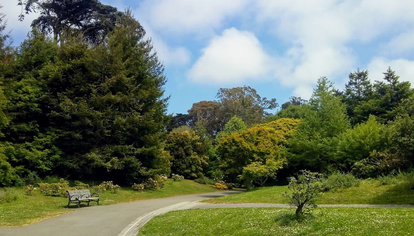 Park, path and nature